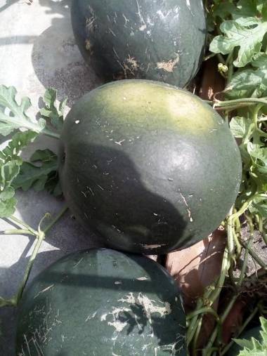 Villa Liduška s restaurací