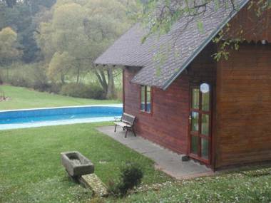 Sunlit Holiday Home in Bechyne with Private Pool