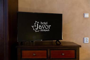 Hotel Javor