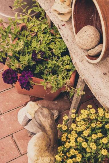 Apartmány Novákovi