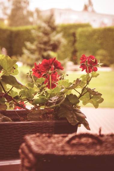 Apartmány Novákovi