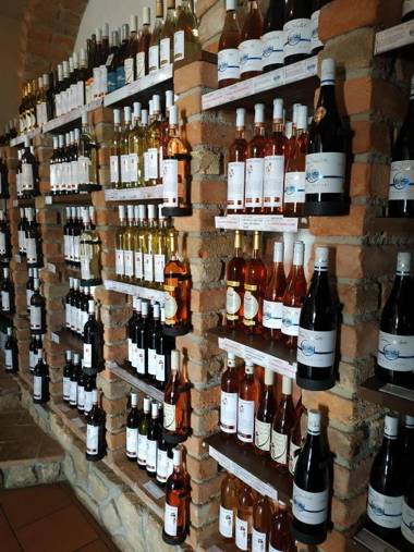 Penzion Patria Kobyli