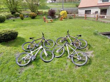 Apartment Ve Mlýně