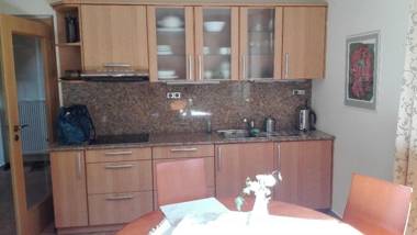 Apartment 53 Zvíkovské Podhradí