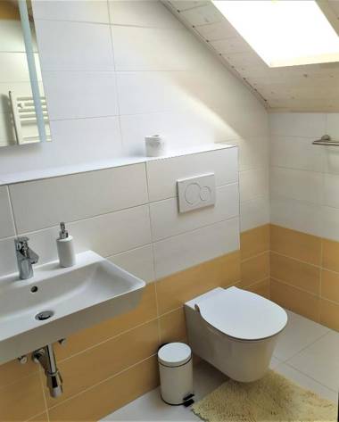 Statek Český Dvůr