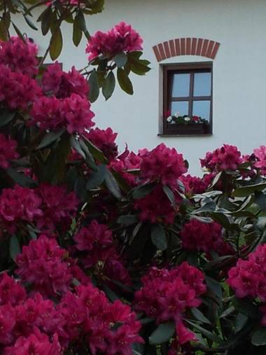 Hotel Castle Mlýn Maděrovka