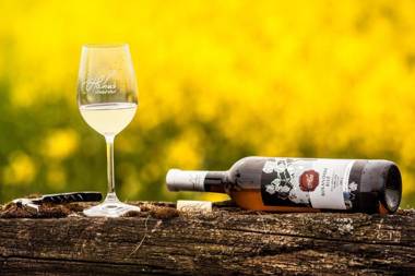 Penzion - Vinařství Hanuš