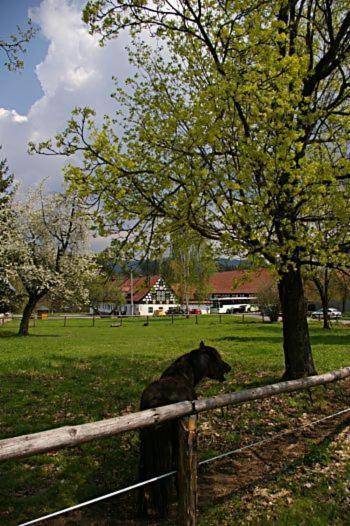 Penzion Manský Dvůr