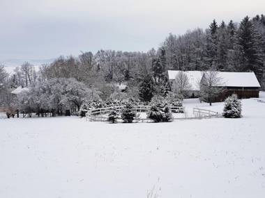 Pension U Sebastiana