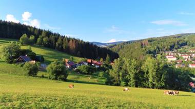 Apartment Votrubcovi