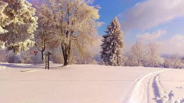 Riegrova Chata Kozákov