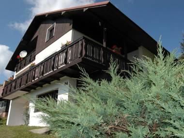 Spacious cottage in the Giant Mountains 1 km from the skislopes
