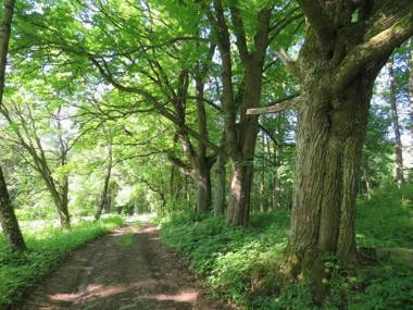 An eight-person holiday home on a 1600 hectare estate.