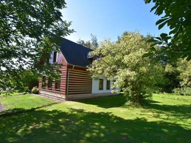 Luxurious Villa in Božanov with Sauna