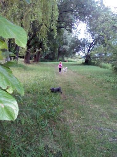 Vinný sklep Kovárna