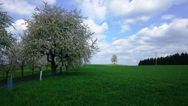 Penzion Továrníkova vila