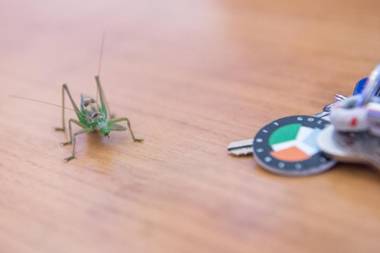 Hausboaty Ypsilon Golf Liberec