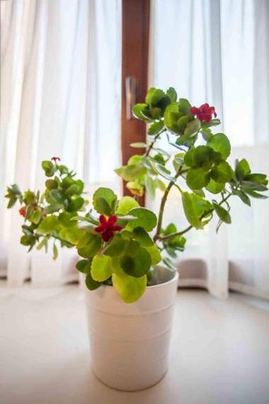 Agropenzion U Bartousku