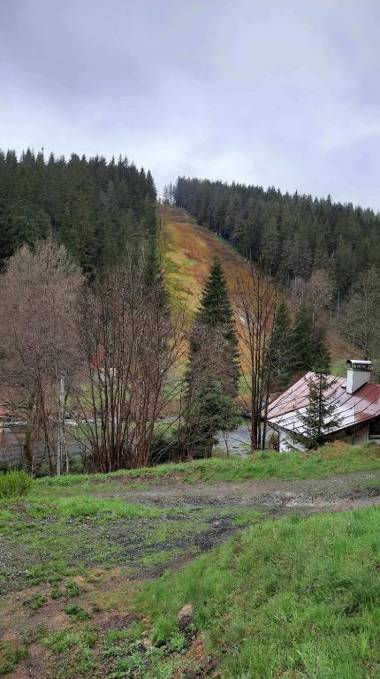 Dům u lesa - Nové Hamry