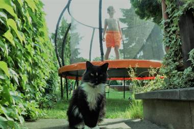 Apartmán Třebenice - vstupní brána do Českého středohoří