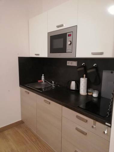 Apartmán Bezkov 108