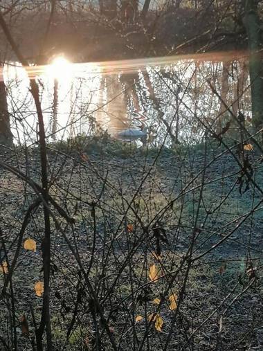 Zimmer zur ehemaligen Weinstube