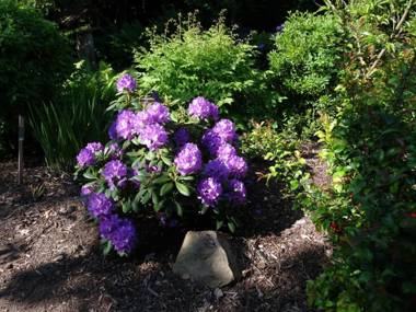 Ferienwohnung im Harz-Haus-Bruns