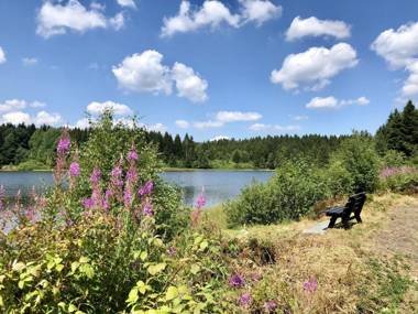 Wooden bungalow with oven in Oberharz near a lake