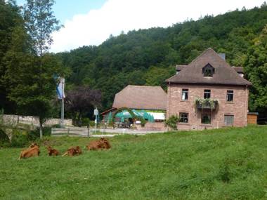 Hotelgasthof Buchenmühle