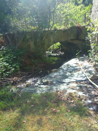 Pulvermühle - 3 Zimmer Bad direkt am Stettbach und mitten im NATURA 2000 Gebiet