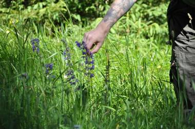 Pension & FeWo's Talblick