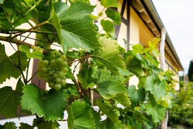 Quartier Rautenstock GbR