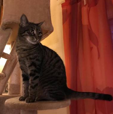 Ferienwohnung Rummelsmühle