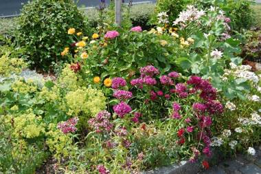 Hotel & Restaurant Schlei-Liesel