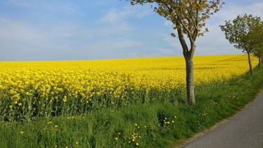 Ferien an der Ostsee