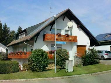 Alluring Apartment near Forest in Herrischried with Private Terrace