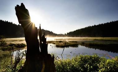 Stern Romantik am Hof