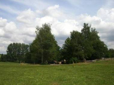 Gasthaus Zur Ölmühle