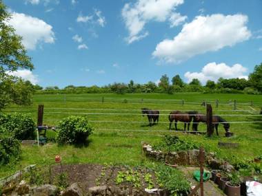 Ferienwohnung Schwabenhof