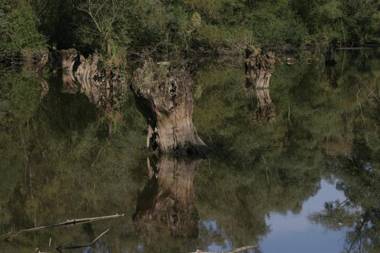 Hotel Landgasthof Ratz