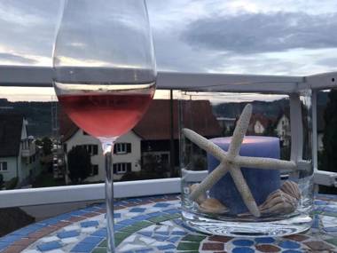 Über den Dächern von Bodman