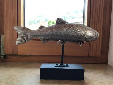 Über den Dächern von Bodman