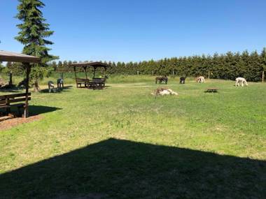 Ferienwohnung auf dem Alpaka-Hof