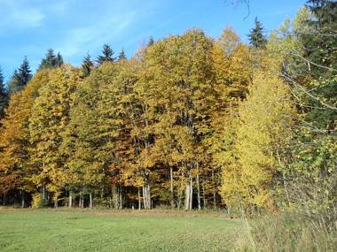 Ferienwohnungen Grill