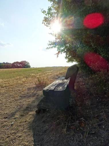 Prinz-Friedrich-August Baude