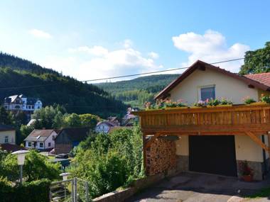 Meadow-View Cottage in Winterstein Thuringia near Ski Area