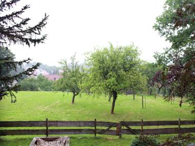 Welcoming Holiday Home in Fischbach with Terrace