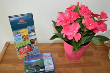 Ferienwohnung Am Brunnen (Nähe Europapark)