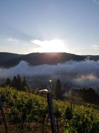 Mosella Ferienwohnungen