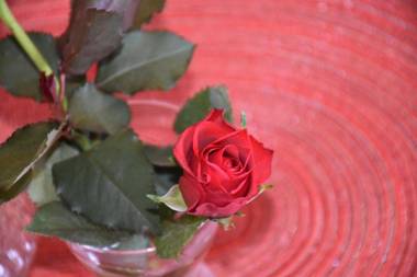 Fewo-Bernkastel-Kues